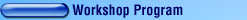 Workshop Program